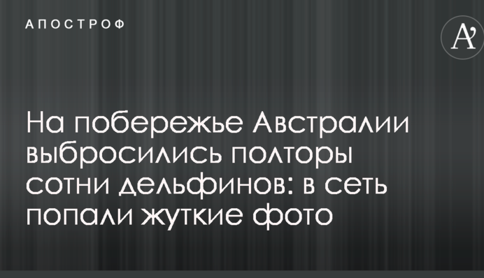 На побережье Австралии выбросились полторы сотни дельфинов: в сеть попали жуткие фото