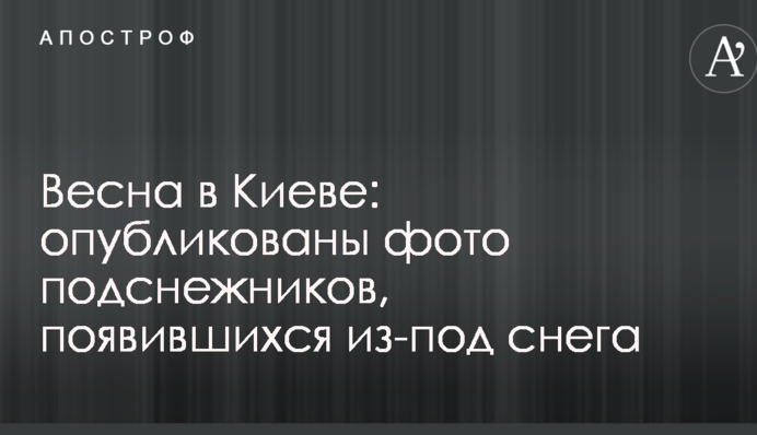Весна в Києві: опубліковані фото пролісків, що з'явилися з-під снігу