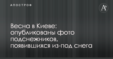 Весна в Києві: опубліковані фото пролісків, що з'явилися з-під снігу