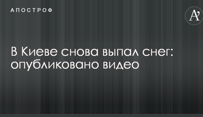 У Києві знову випав сніг: опубліковано відео