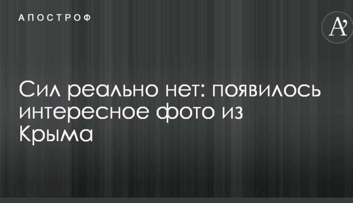 Сил реально немає: з'явилося цікаве фото з Криму