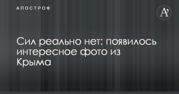 Сил реально нет: появилось интересное фото из Крыма