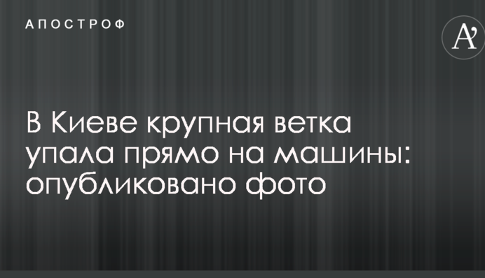 В Києві велика гілка впала прямо на машини: опубліковано фото