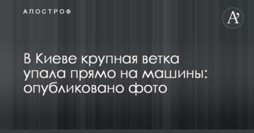 В Києві велика гілка впала прямо на машини: опубліковано фото