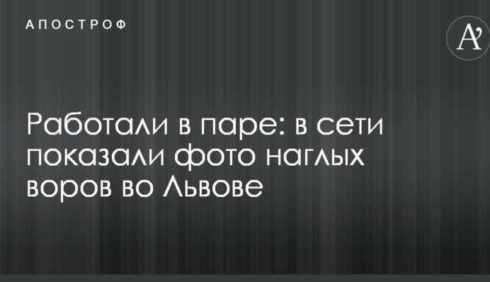 Работали в паре: в сети показали фото и видео наглых воров во Львове