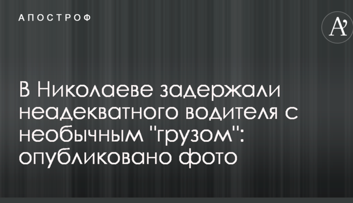 У Миколаєві затримали неадекватного водія з незвичайним 