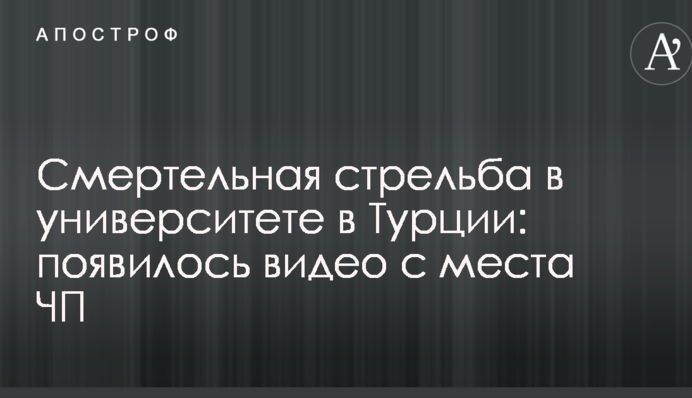 Смертельна стрілянина в університеті в Туреччині: з'явилося відео з місця НП
