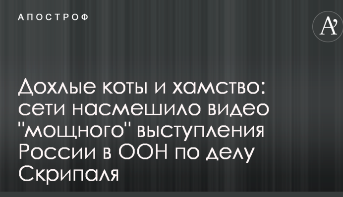 Дохлі коти і хамство: мережі насмішило відео 