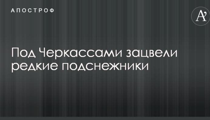 Під Черкасами зацвіли рідкісні проліски: опубліковані фото і відео