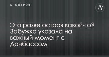 Це хіба острів якийсь? Забужко вказала на важливий момент з Донбасом