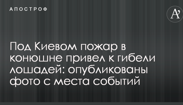 Под Киевом пожар в конюшне привел к гибели лошадей: опубликованы фото с места событий