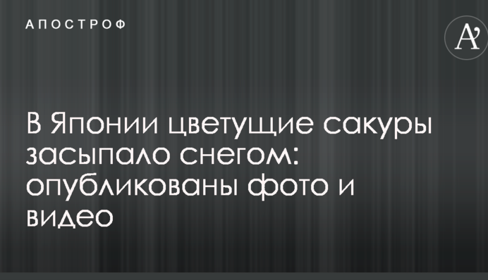 В Японії квітучі сакури засипало снігом: опубліковано фото і відео