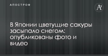 В Японії квітучі сакури засипало снігом: опубліковано фото і відео