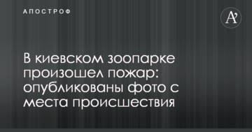 У київському зоопарку сталася пожежа: опубліковано фото з місця події