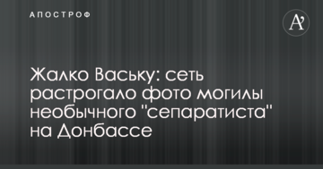 Шкода Ваську: мережу зворушило фото могили незвичайного "сепаратиста" на Донбасі