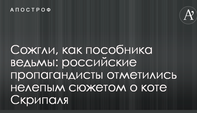 Спалили, як пособника відьми: російські пропагандисти відзначилися безглуздим сюжетом про кота Скрипаля