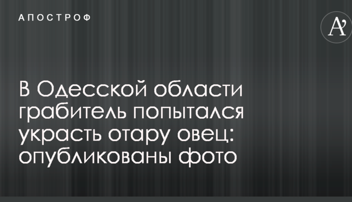 В Одесской области грабитель попытался украсть отару овец: опубликованы фото
