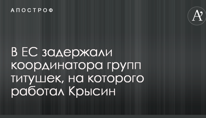 В ЄС затримали координатора груп тітушек, на якого працював Крисін