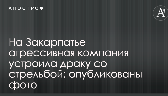 На Закарпатье агрессивная компания устроила драку со стрельбой: опубликованы фото