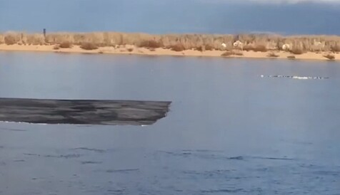 В Росії по річці плив величезний шматок асфальту: в мережі показали відео
