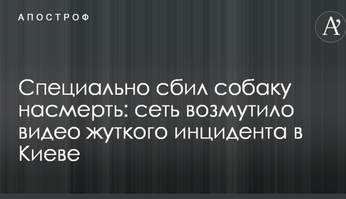 Спеціально збив собаку на смерть: мережу обурило відео моторошного інциденту в Києві