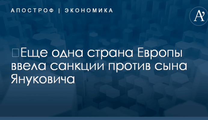 ​Еще одна страна Европы ввела санкции против сына Януковича