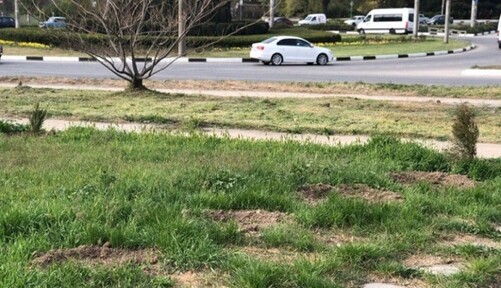 Умер легендарный украинский чемпион мира