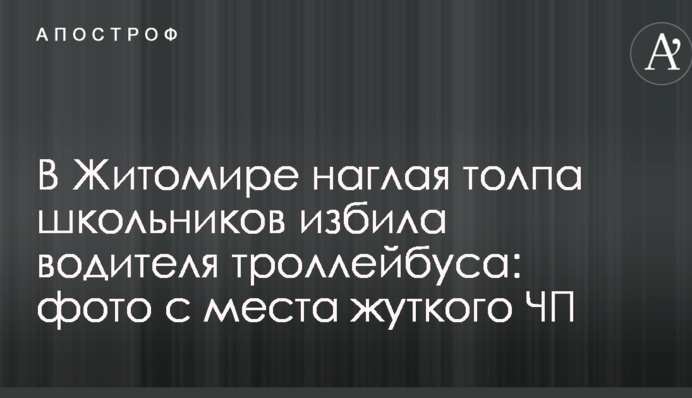 В Житомире наглая толпа школьников избила водителя троллейбуса: фото с места жуткого ЧП