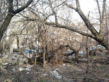 Батиєва гора вже не та: в мережі показали сумні фото і відео центру Києва