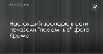 Справжній зоопарк: в мережі показали 