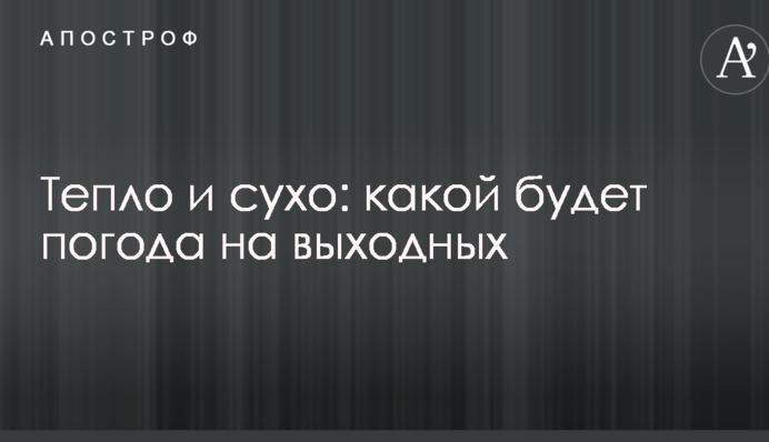 Тепло и сухо: какой будет погода на выходных
