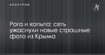 Рога и копыта: сеть ужаснули новые страшные фото из Крыма