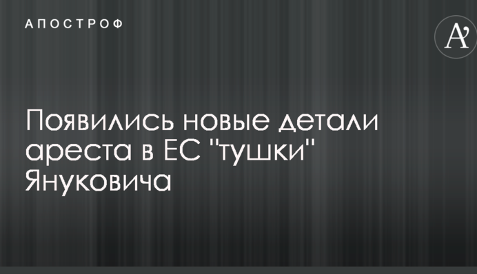 З'явилися нові деталі арешту в ЄС "тушки" Януковича