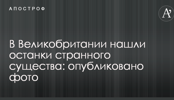В Великобритании нашли останки странного существа: опубликовано фото