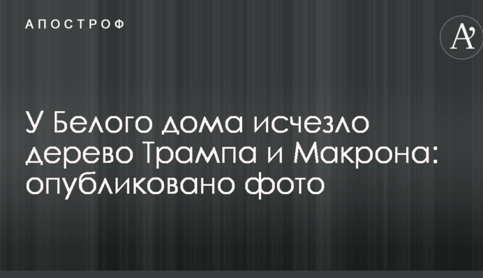 Біля Білого дому зникло дерево Трампа і Макрона: опубліковано фото