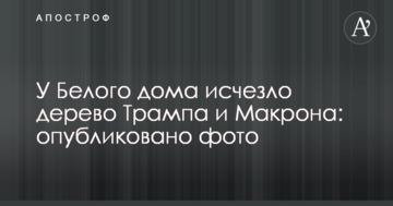 Біля Білого дому зникло дерево Трампа і Макрона: опубліковано фото