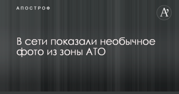 В мережі показали незвичайне фото із зони АТО