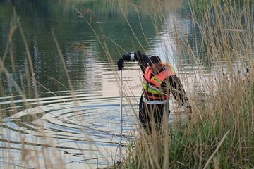 Партія "Наш край" отримала майже всі мандати в ОТГ на Донбасі