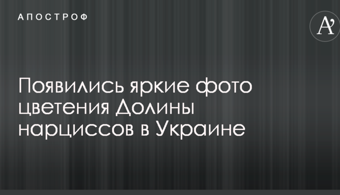 З'явилися яскраві фото цвітіння Долини нарцисів в Україні