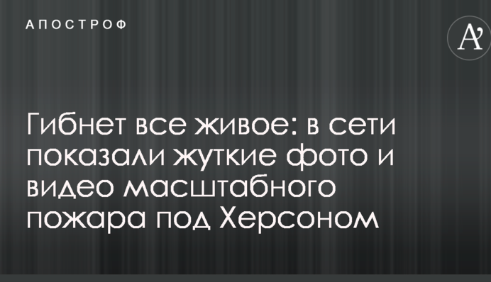 Гине все живе: в мережі показали страшні фото і відео масштабної пожежі під Херсоном