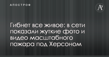 Гине все живе: в мережі показали страшні фото і відео масштабної пожежі під Херсоном