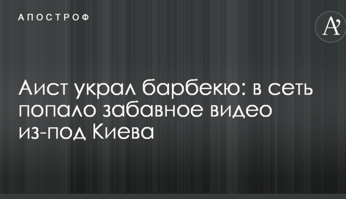 Лелека вкрав барбекю: в мережу потрапило кумедне відео з-під Києва