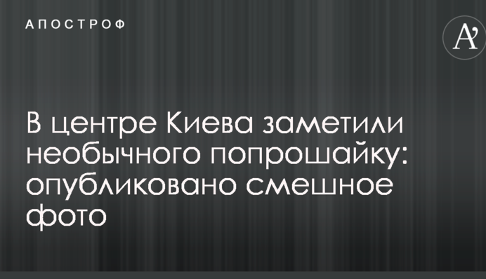 В центре Киева заметили необычного попрошайку: опубликовано смешное фото