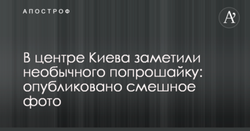 В центрі Києва помітили незвичайного жебрака: опубліковано смішне фото