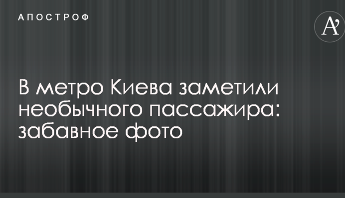 У метро Києва помітили незвичайного пасажира: опубліковано кумедне фото