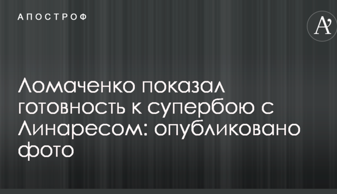 Ломаченко показал готовность к супербою с Линаресом: опубликовано фото