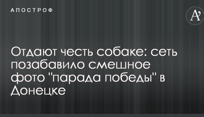 Отдают честь собаке: сеть позабавило смешное фото 