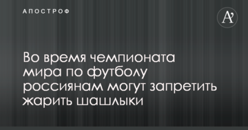 Во время чемпионата мира по футболу россиянам могут запретить жарить шашлыки