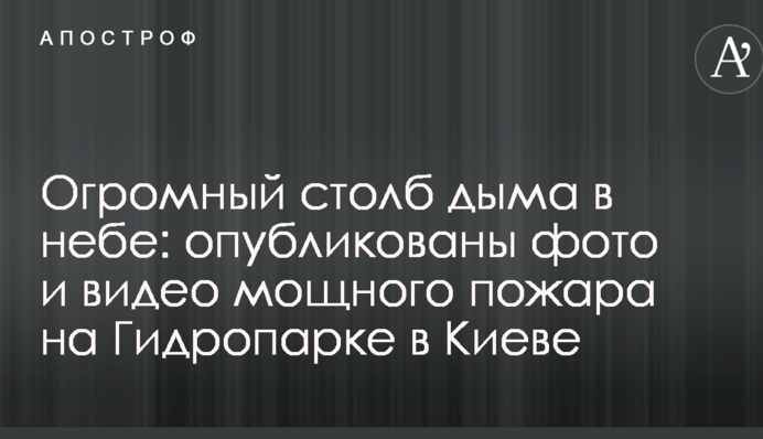 Огромный столб дыма в небе: опубликованы фото и видео мощного пожара на Гидропарке в Киеве
