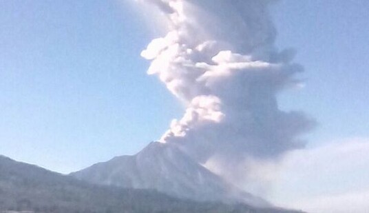 ​В ФФУ назвали нормальной наценку в 50% при заказе материалов для покрытия полей
